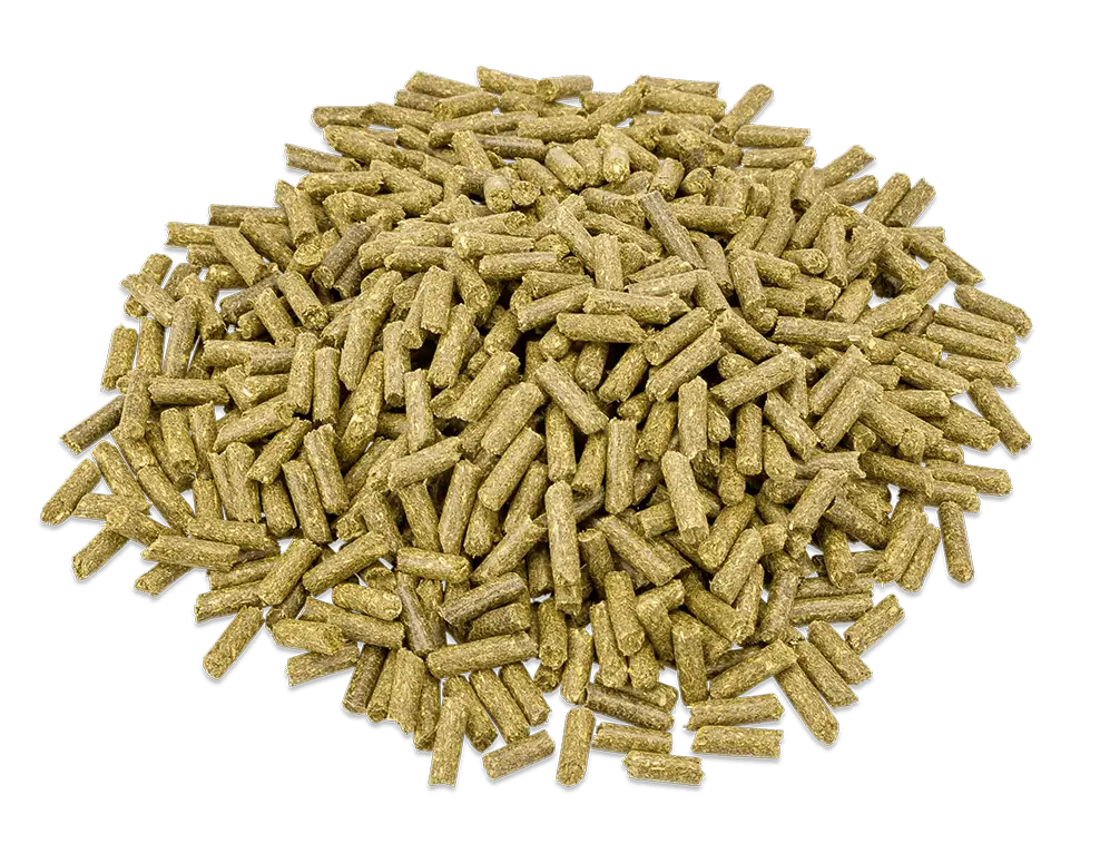 Metazoa FitRight esparcette 15 kg. - Afbeelding 2