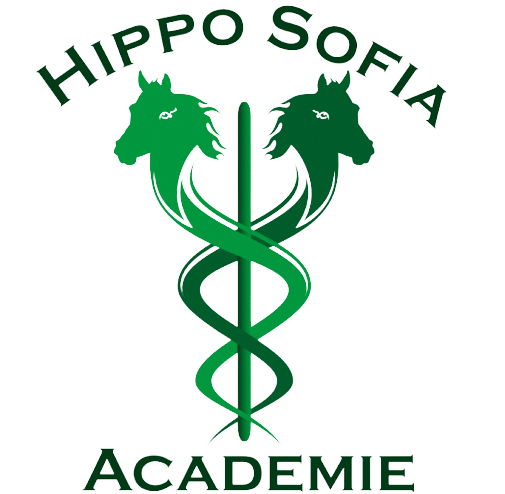 Hippo Sofia Academie